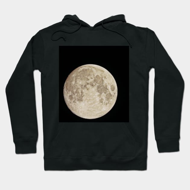 Full moon Hoodie by RobertsArt